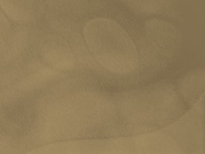 代码补全